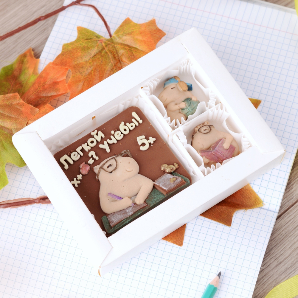 Набор "Легкой учебы" #2