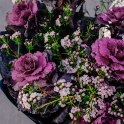 59. Загадочный дерзкий букет с брассикой