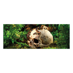 Hagen Exo Terra Primate Skull - декорация "Череп примата"
