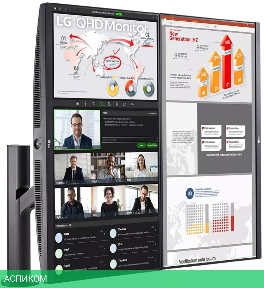 Монитор LG 27QP88DP-BS (2 шт.)