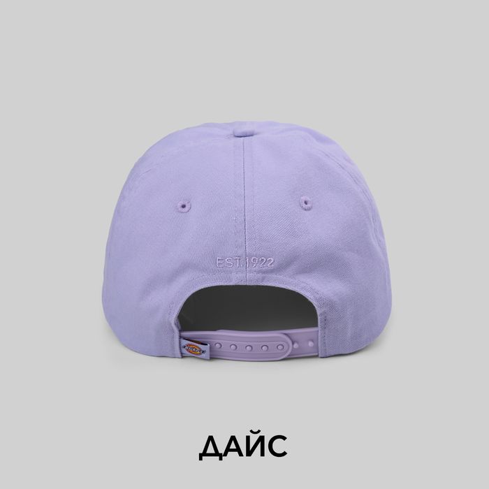 Кепка Dickies Hardwick 6 Panel Logo артикул:DK0A4TKVH181 - купить в магазине Дайс