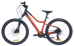 Подростковый велосипед Alpinebike Pegas Disc 24 7 ск. (2025)
