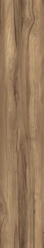 FOSSIL WOOD WENGE CW-RT10-B