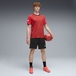 Мужская футболка PUMA individualFINAL Jersey