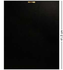 Veronese WS-475/ 5 Панно «Матерь Божья с младенцем»