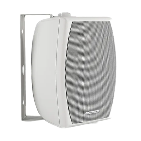 CVGAUDIO ODF508TW настенная акустическая система, мощность 4/8/16/30W в 100V