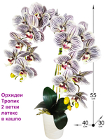 Искусственные Орхидеи Тропик 2 ветки латекс в кашпо