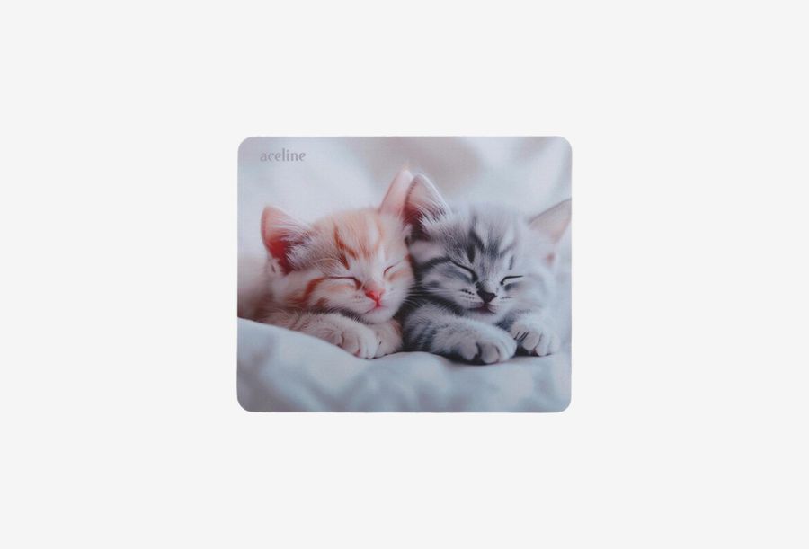 Aceline OM-XS Kitten_0126522102536