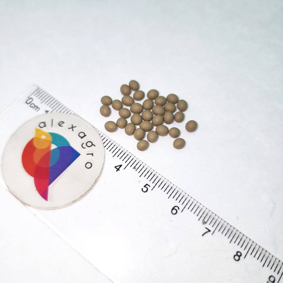 Платинас семена салата айсберг (Rijk Zwaan /ALEXAGRO) – фото 13