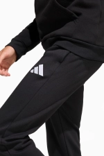 Штаны adidas Entrada 26 Sweat Junior - черный