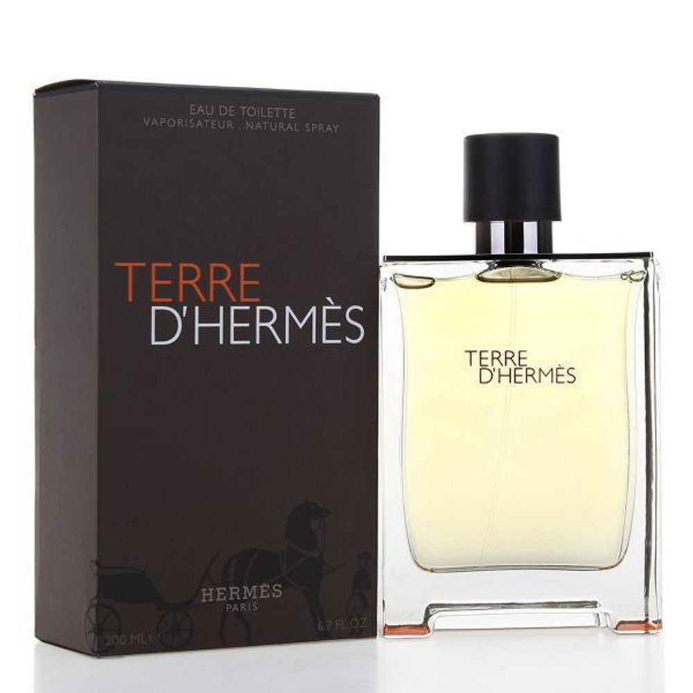 Hermes Terre D'Hermes