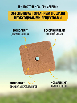 Соль лизунец  для животных лошадей Мустанг