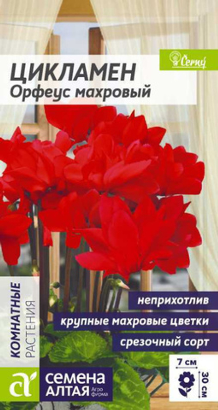 Цикламен Орфеус махровый/Сем Алт/цп 3 шт. КОМНАТНЫЕ РАСТЕНИЯ
