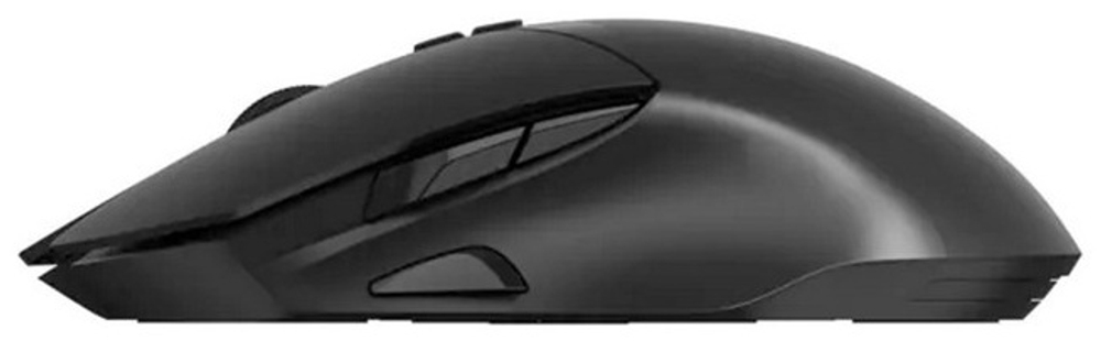 Мышь Rapoo V30L (12789) черный