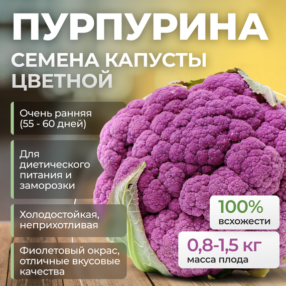 ПУРПУРИНА F1 семена капусты цветной (Sakata) – фото 1