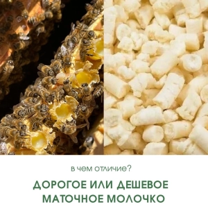 Отличие дорогого и дешевого маточного молочка