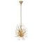 Подвесная люстра LOFT IT Splash 10418/6