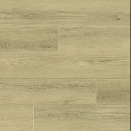 Prestige XL Honor, 2,51 м²