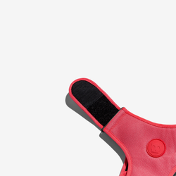 Шлейка Air Mesh NEON CORAL Zee.Dog