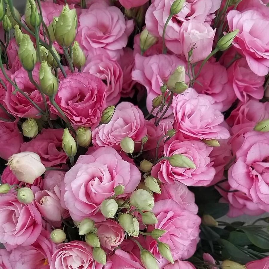 Весна — время чудес и подарков