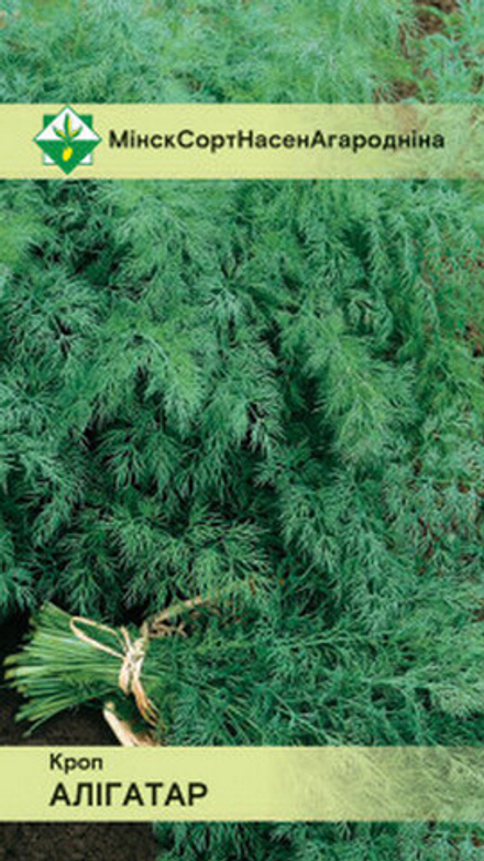 Укроп "Аллигатор" 2г, Россия.