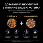 Влажный корм PRO PLAN HEALTHY START для котят курица в желе 85г x 26 шт