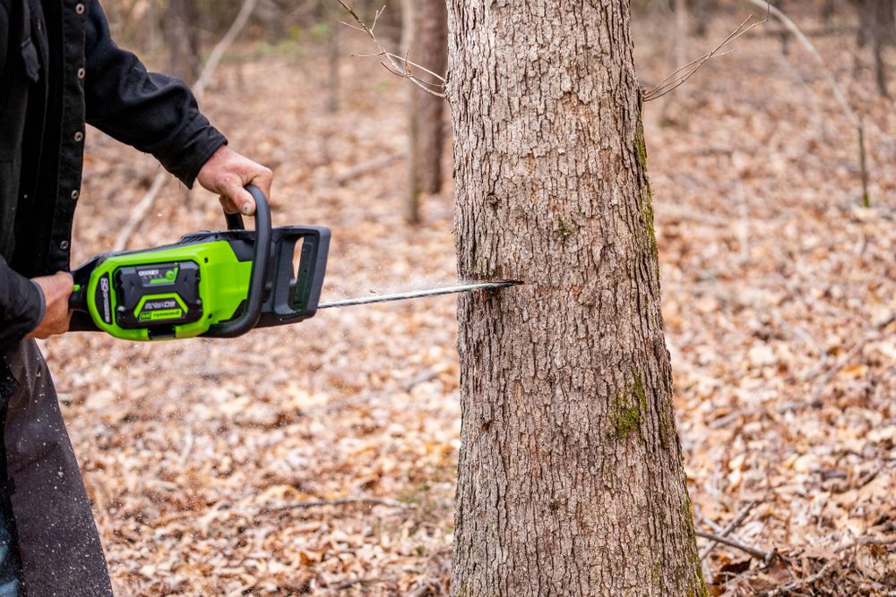 Цепная пила аккумуляторная Greenworks GD60CS25k5 Арт. 2008907UG, 60V, 40 см, бесщеточная, 2500 Вт, с 1хАКБ 5 Ач. и ЗУ