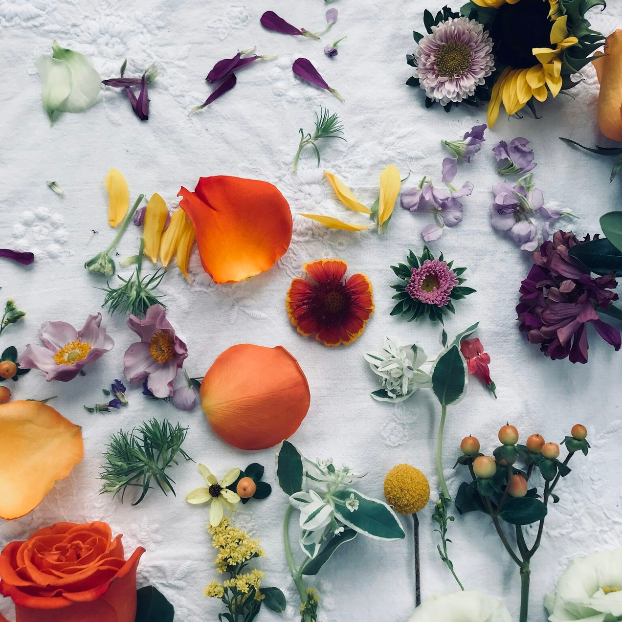 Откройте для себя уникальную женскую одежду!