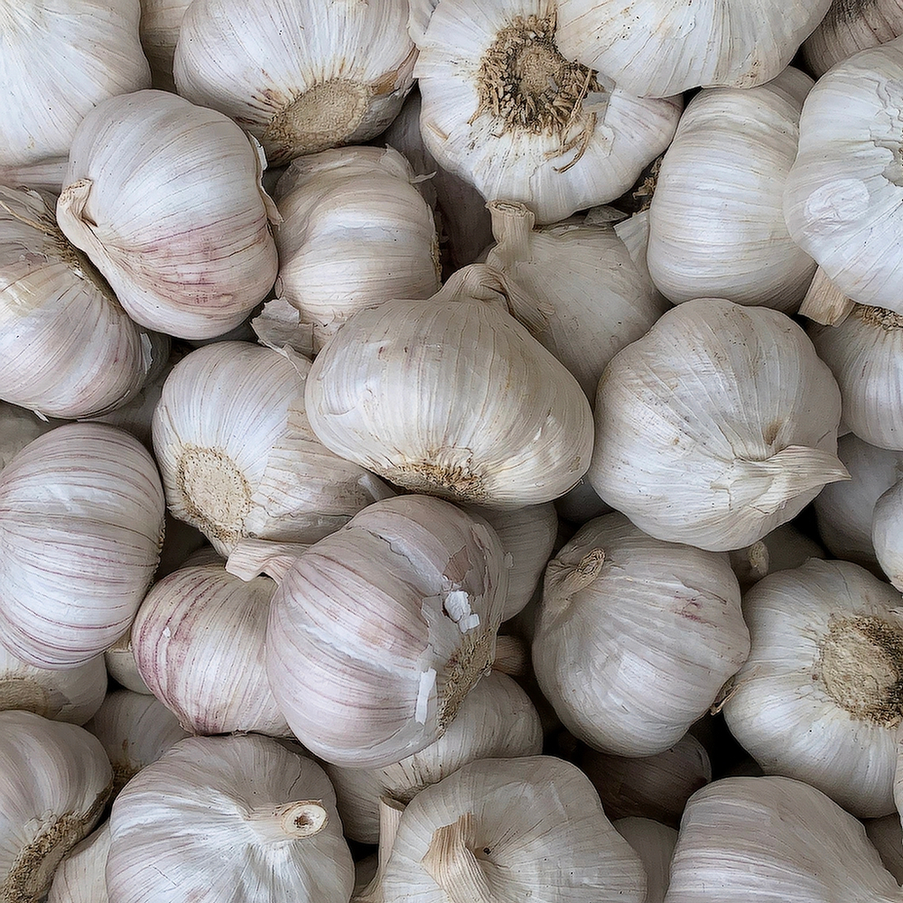 ЧЕСНОК (Вес)