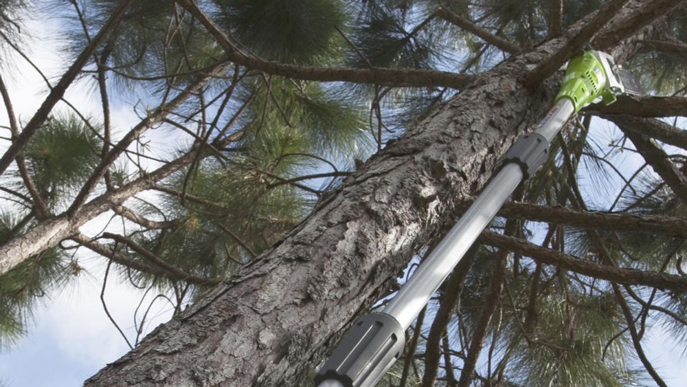 Электрический сучкорез (высоторез) Greenworks GPS7220, 20147,20 см, 720 Вт,