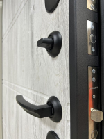 Дверь входная Блюз