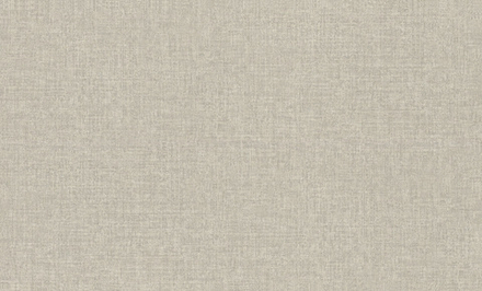 Rasch 1.06m*10m 970517 Jolly