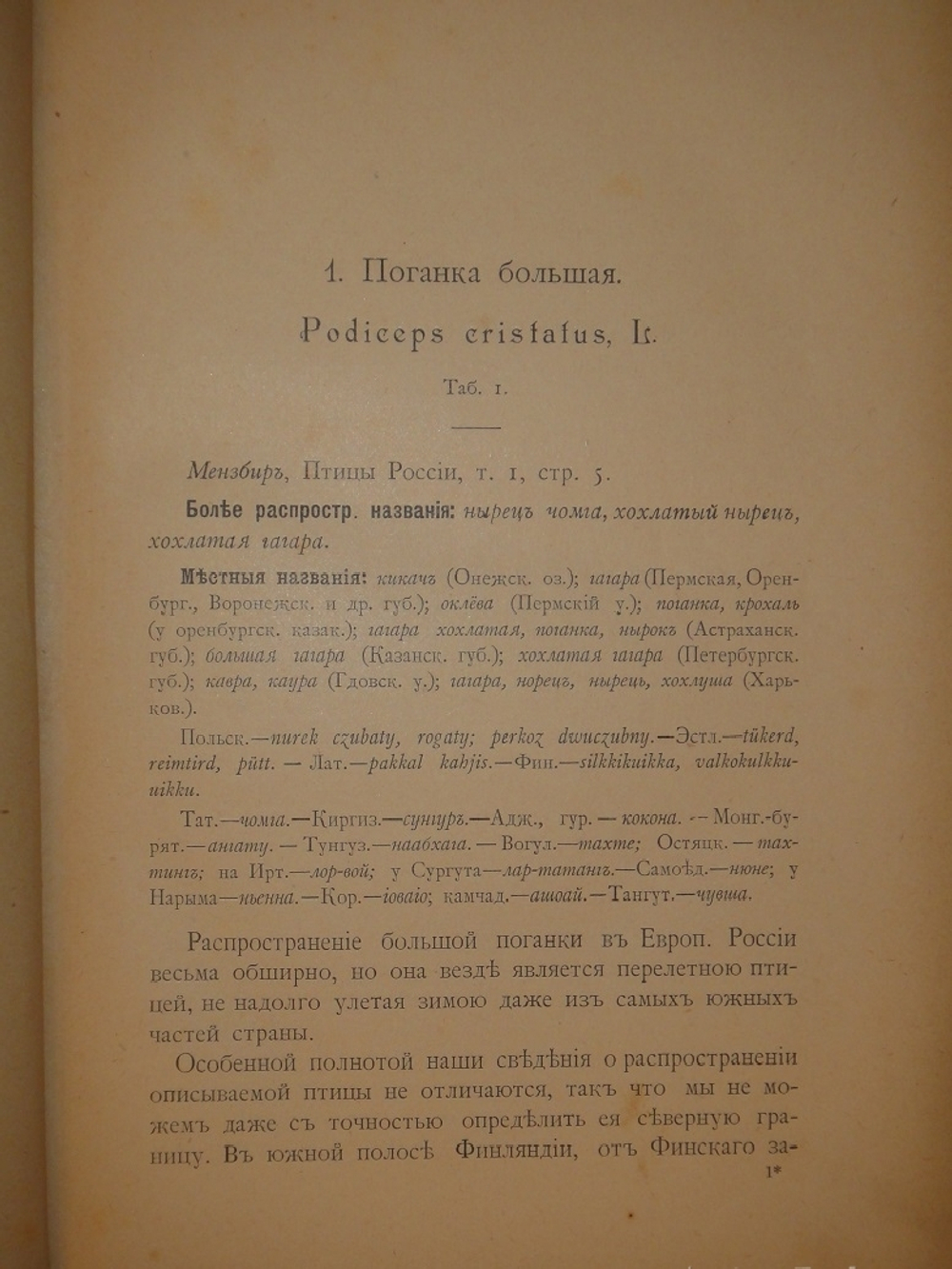 "Охотничьи и промысловые птицы Европейской России и Кавказа. В 2-х томах и Атласом". М.А.Мензбир. 1902г.