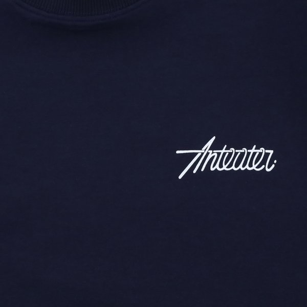 Футболка Anteater Phat Tee 492 (dark navy) артикул: - купить в магазине Дайс