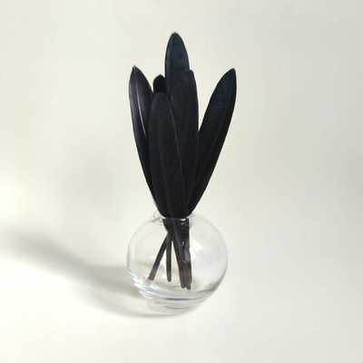 Перья утки черные 15 шт.