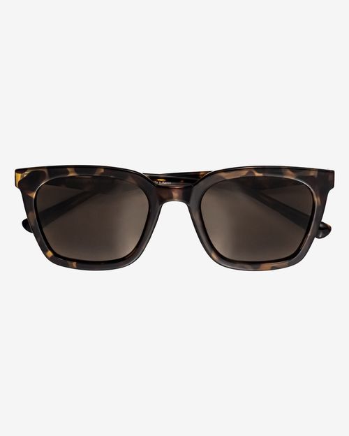 Очки Eyeneye Roadster Turt Sun коричневые