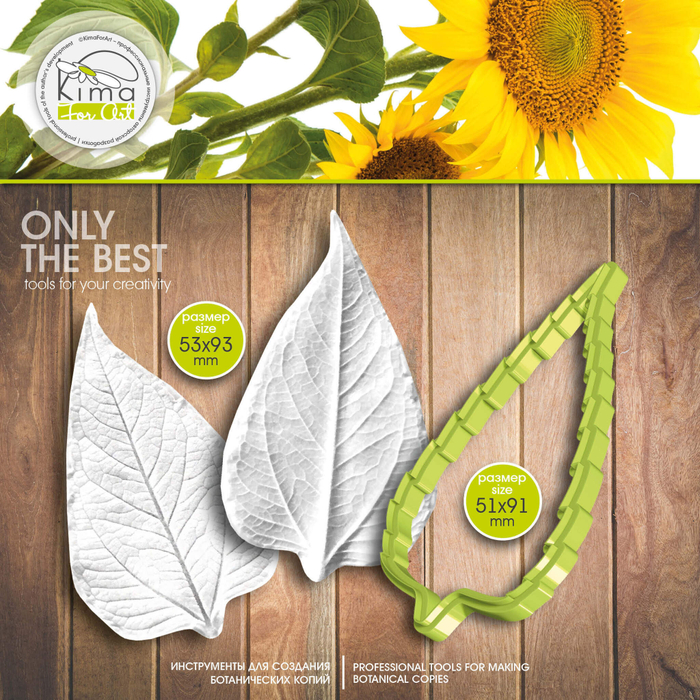 Подсолнух лист большой