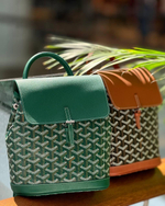 Рюкзак Goyard
