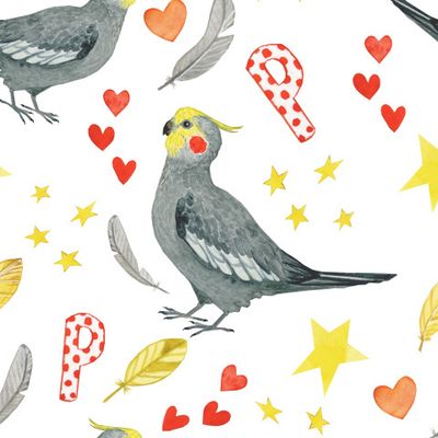 Попугайчики и звезды