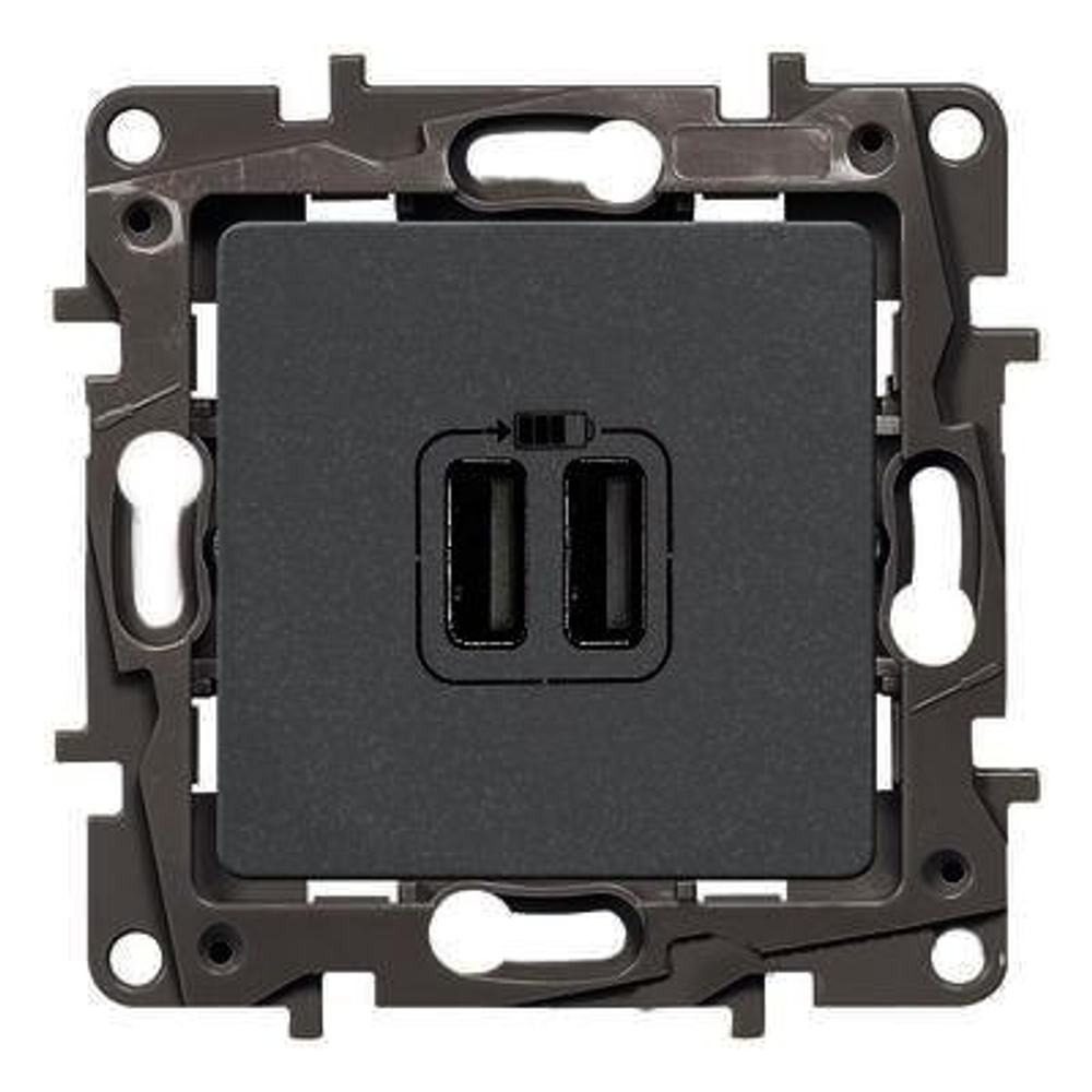 Зарядное устройство  Legrand 672694