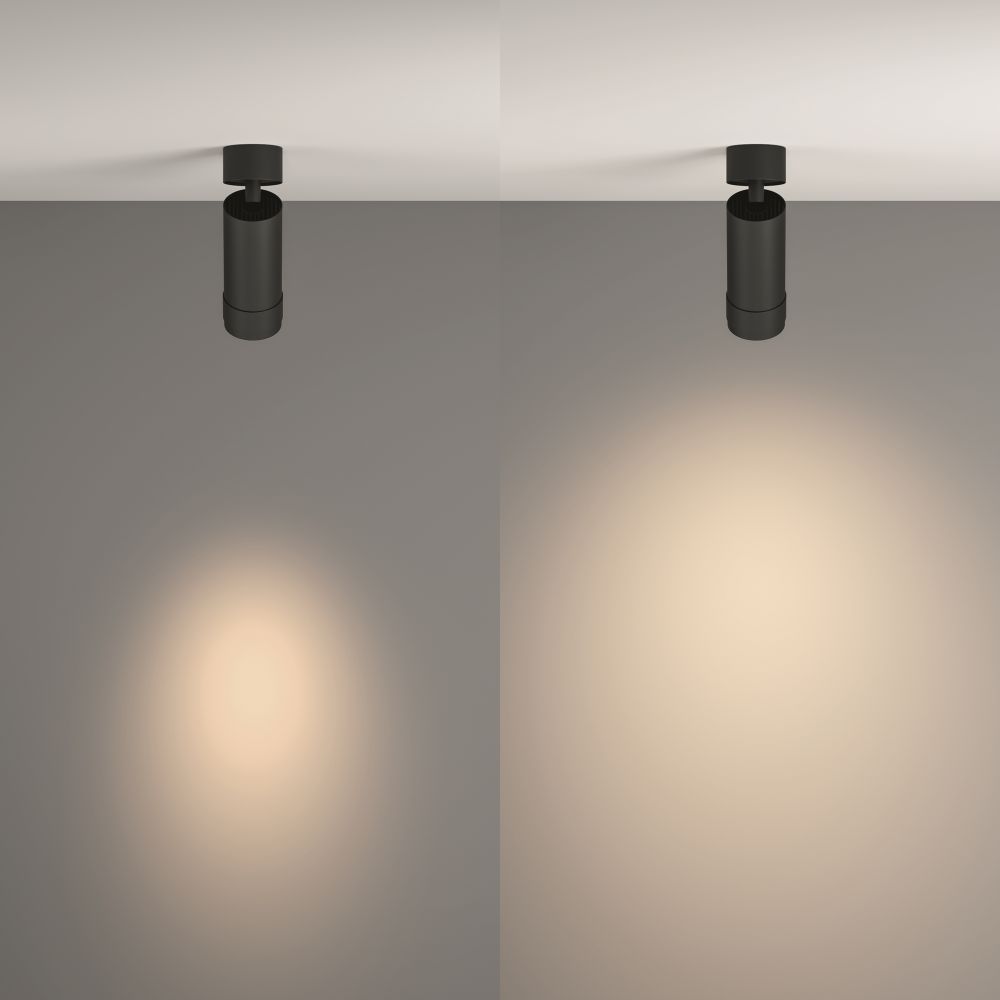 Потолочный светильник Technical C055CL-L12W4K-Z-B