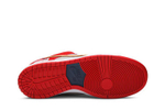 Кроссовки Nike Dunk Sb Nasty Boys