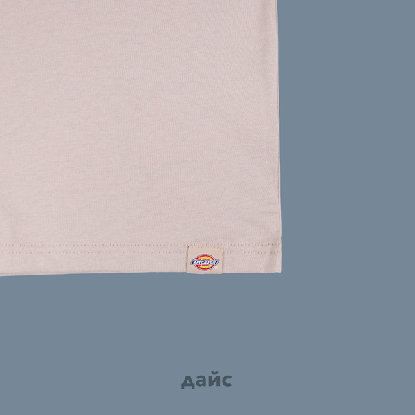 Футболка мужская Dickies Saltville Tee артикул:DK0A4YR9SS01 - купить в магазине Дайс