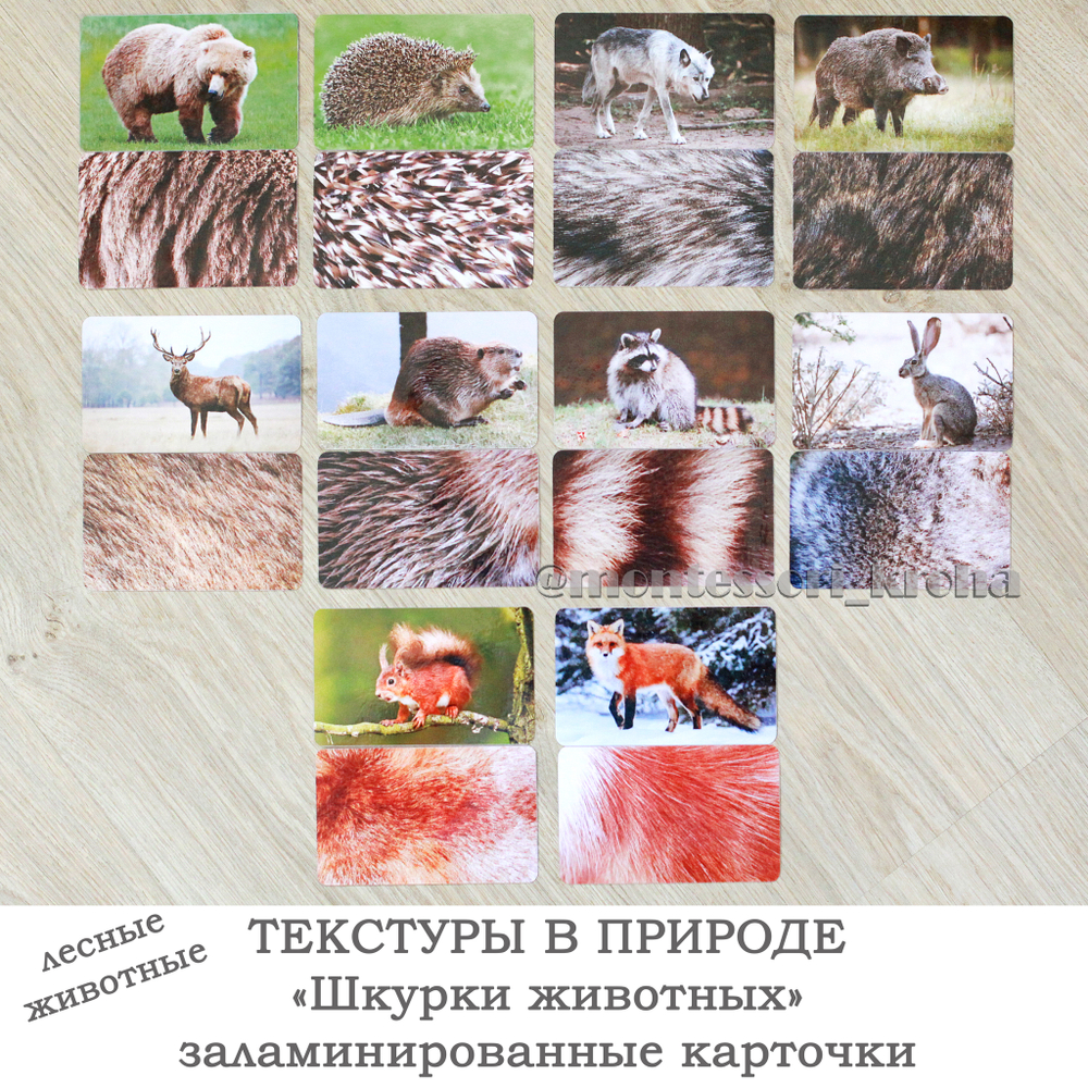 ШКУРКИ ЖИВОТНЫХ. Ламинированные карточки "ТЕКСТУРЫ В ПРИРОДЕ"