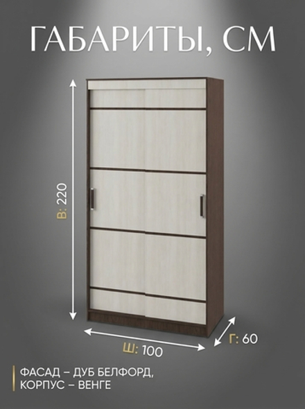 Шкаф-купе Лотос 100х220х60 см раздвижной вместительный