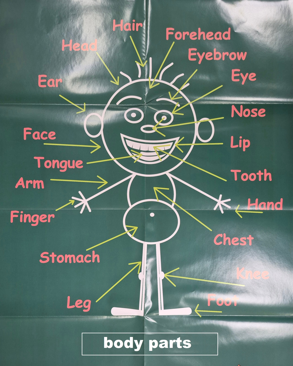 Плакаты A1 - комплект: Russian Federation, Body, The British Isles