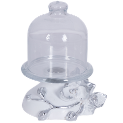 Лимонница Орхидея Лайм Белая