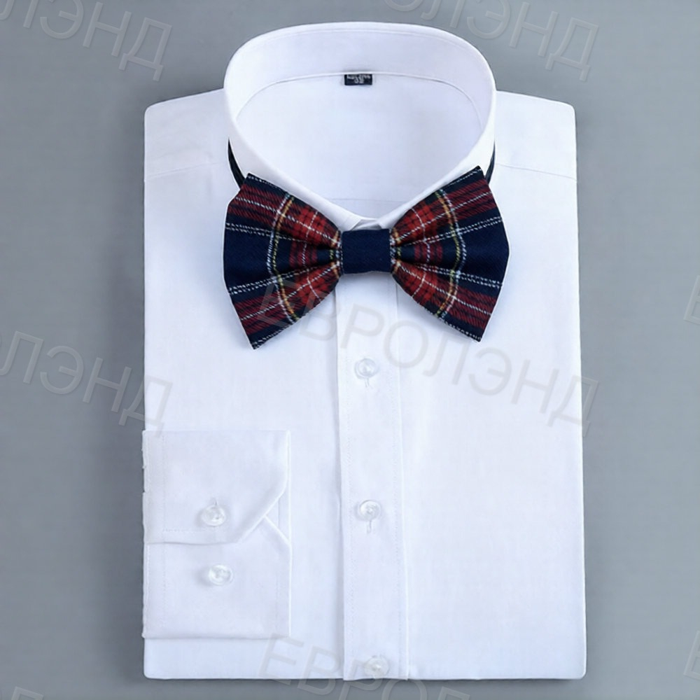 Бабочка кр-син