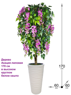Искусственное дерево Акация лиловая 170см в высоком круглом белом кашпо