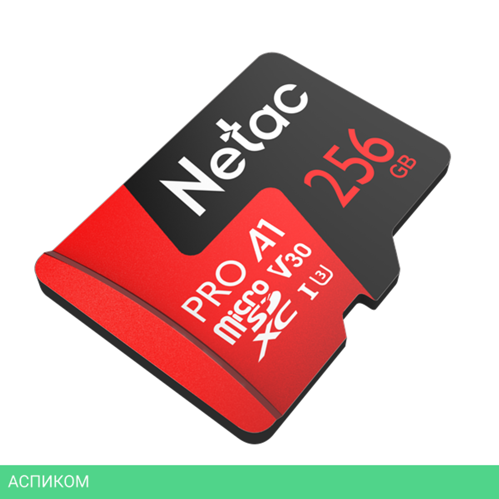 Карта памяти Netac NT02P500PRO-256G-R